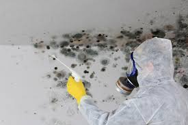 Mold Removal for HVAC Installations in Lake Waynoka, OH